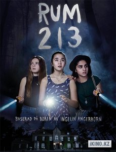  213 (2017)